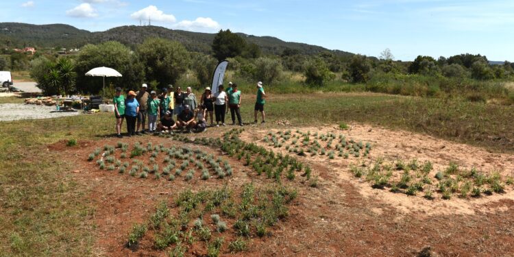Imagen del jardín de mariposas plantado junto a los usuarios e usuarias de ASPANADIF. Foto: Carmen Pi