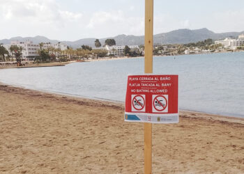 Tramo de la playa de s'Arenal de Sant Antoni tras uno de los vertidos que ha sufrido este año.