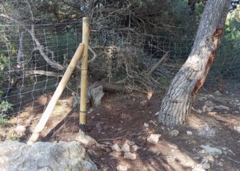 Uno de los tramos (y son varios) en los que los visitantes han abierto agujeros a través de la valla metálica. Fotos Noudiari.es