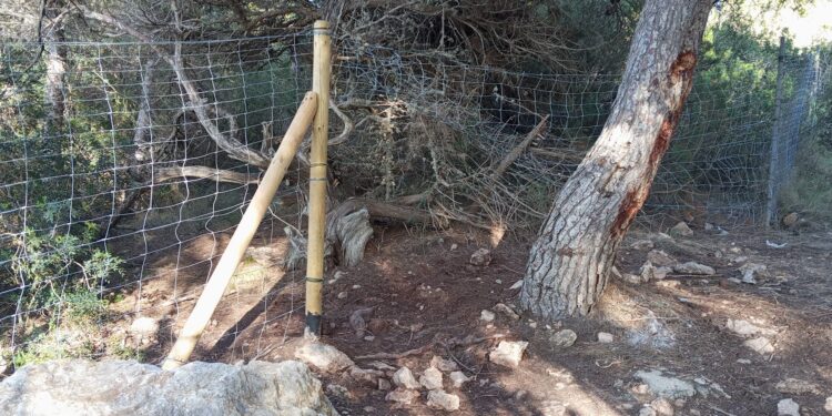 Uno de los tramos (y son varios) en los que los visitantes han abierto agujeros a través de la valla metálica. Fotos Noudiari.es