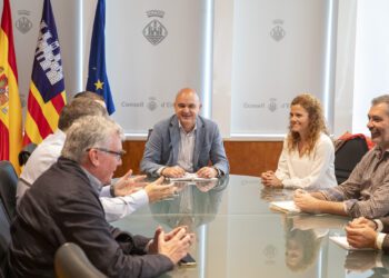 Un momento de la reunión de la Federación Hotelera y el Consell en la sede insular de la institución.