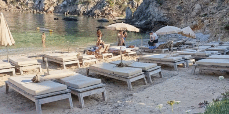 Una de las imágenes compartidas por Amics de la Terra.