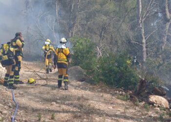 Brigadistas del Ibanat, sobre el terreno en la zona afectada por las llamas