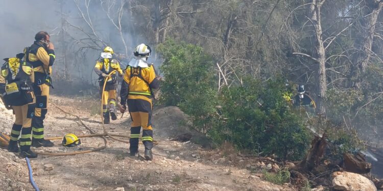 Brigadistas del Ibanat, sobre el terreno en la zona afectada por las llamas