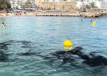 Imagen de la mancha que obligó a cerrar al baño un tramo de la playa de ses Figueretes.