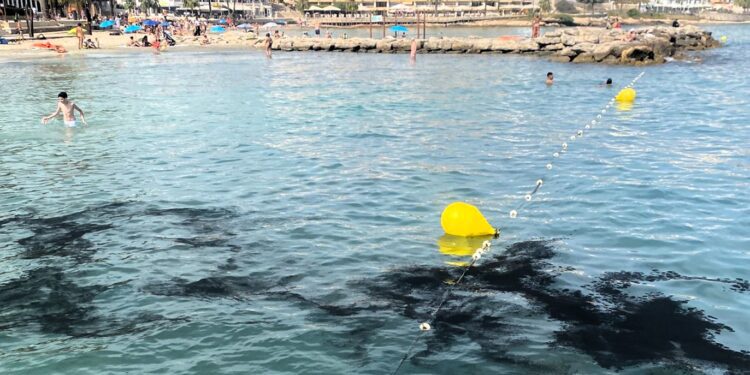 Imagen de la mancha que obligó a cerrar al baño un tramo de la playa de ses Figueretes.