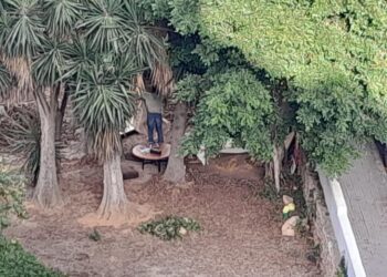 Imagen en la que se aprecia el montaje dispuesto en el jardín de Cruz Roja Ibiza
