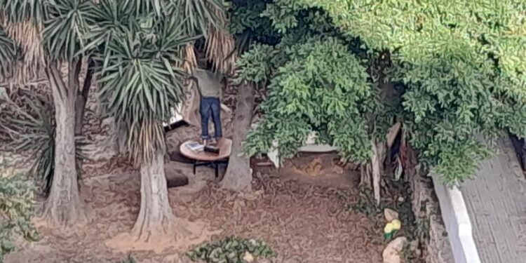 Imagen en la que se aprecia el montaje dispuesto en el jardín de Cruz Roja Ibiza