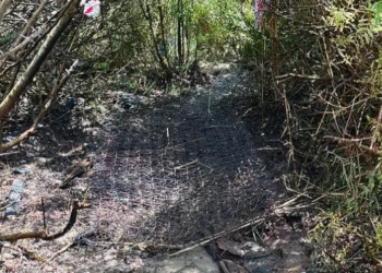 Imagen de parte del terreno quemado por las llamas