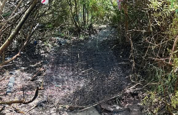 Imagen de parte del terreno quemado por las llamas