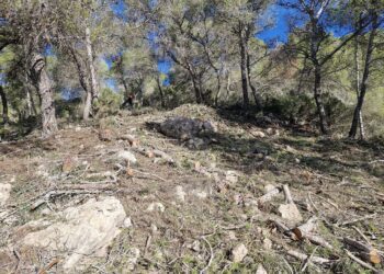 Faja anti incendios en Can Pep Simó