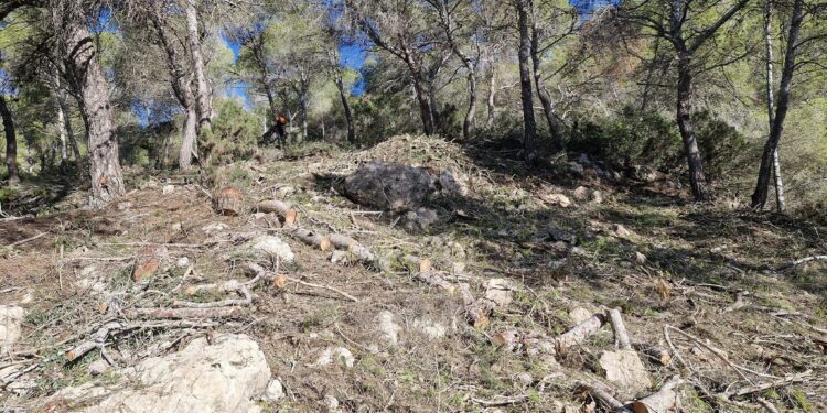 Faja anti incendios en Can Pep Simó