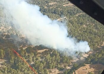 Imagen del incendio, publicada por la 
Conselleria d'Agricultura, Pesca i Medi Natural en Twitter.