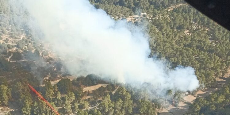 Imagen del incendio, publicada por la 
Conselleria d'Agricultura, Pesca i Medi Natural en Twitter.