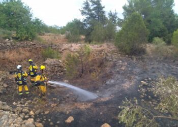 El fuego ha calcinado unos 7.000 metros cuadrados.