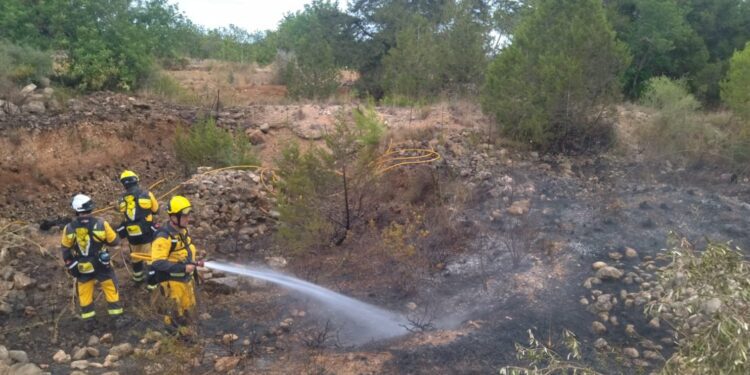 El fuego ha calcinado unos 7.000 metros cuadrados.