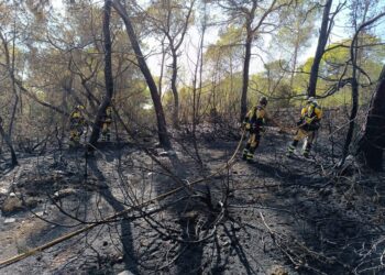 Imagen del área afectada por el fuego