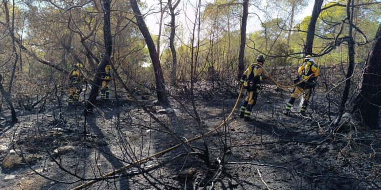 Imagen del área afectada por el fuego