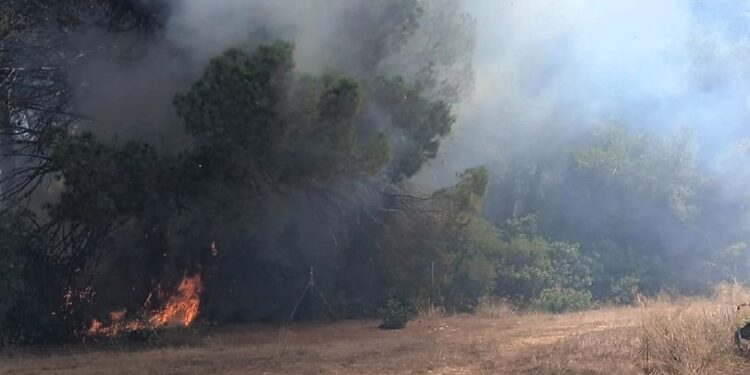 Imagen del incendio subida a redes sociales por el Ibanat