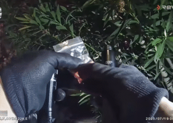 Fotograma del vídeo en el que la policía encuentra una bolsa con 12 pastillas.