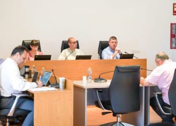 Un momento de la sesión plenaria