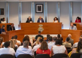 En la imagen, un momento del debate hoy en la sede del Ejecutivo insular