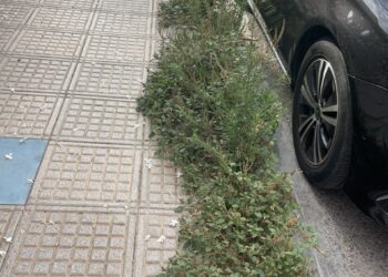 Malas hierbas creciendo en una calle de Ibiza en esta imagen compartida por el PSOE de la ciudad de Ibiza.