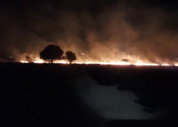 Imagen del incendio. Foto: Bombers d'Eivissa