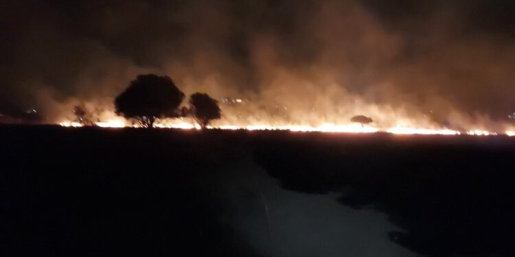 Imagen del incendio. Foto: Bombers d'Eivissa