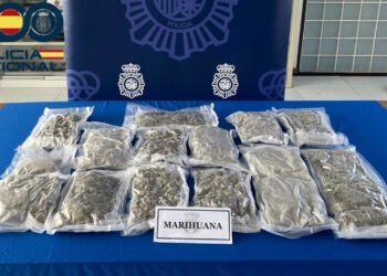 Imagen de las bolsas de marihuana halladas en el vehículo