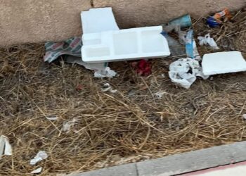 Basuras que llevan acumulándose meses junto al carril bici entre la rotonda de Cas Mut/cementerio y la de Can Cifre/Guardia Civil. Fotos Noudiari