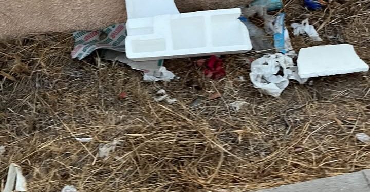 Basuras que llevan acumulándose meses junto al carril bici entre la rotonda de Cas Mut/cementerio y la de Can Cifre/Guardia Civil. Fotos Noudiari