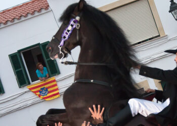 Un caballo durante un jaleo en Menorca en una imagen de archivo de Carlos Paz Flickr