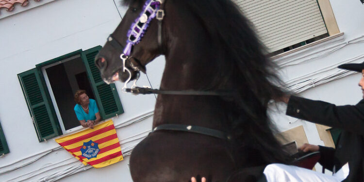Un caballo durante un jaleo en Menorca en una imagen de archivo de Carlos Paz Flickr