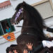 Un caballo durante un jaleo en Menorca en una imagen de archivo de Carlos Paz Flickr