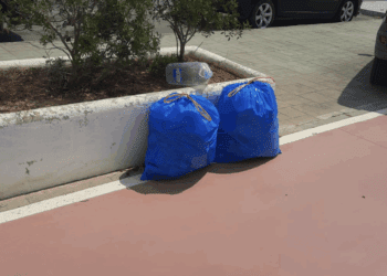 La recogida  de residuos en la zona ha supuesto llenar varias bolsas de basura.