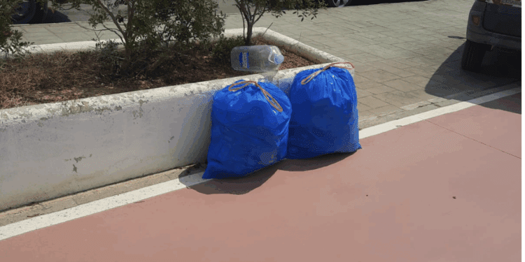 La recogida  de residuos en la zona ha supuesto llenar varias bolsas de basura.