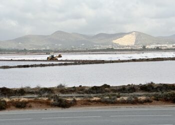 Una excavadora trabajando este jueves 28 de agosto en una de las zonas de las cristalizadoras de sal de Salinera Española en el Parque Natural de ses Salines. Foto L.F.A. Noudiari.es