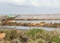 Una estampa de los estanques de Salinera Española en el Parque natural de ses Salines de Ibiza. Foto L. F. A. Noudiari.es