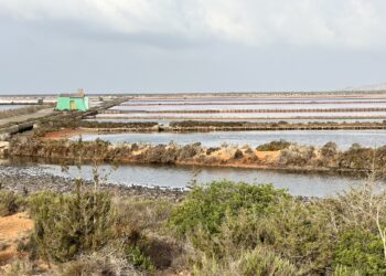 Una estampa de los estanques de Salinera Española en el Parque natural de ses Salines de Ibiza. Foto L. F. A. Noudiari.es