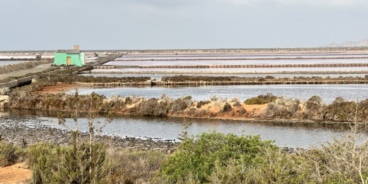 Una estampa de los estanques de Salinera Española en el Parque natural de ses Salines de Ibiza. Foto L. F. A. Noudiari.es