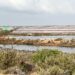Una estampa de los estanques de Salinera Española en el Parque natural de ses Salines de Ibiza. Foto L. F. A. Noudiari.es