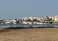 Barcas fondeadas en la zona cercana al hotel Torre del Mar, en sa Platgeta de sa Punta (es Viver). Fotos Noudiari.es