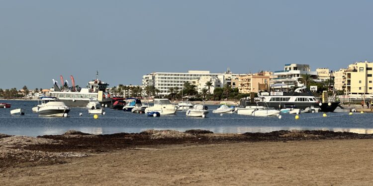 Barcas fondeadas en la zona del hotel Torre del Mar, en sa Platgeta de sa Punta (es Viver). Vecinos alertan que algunas embarcaciones estarían usando esta zona de manera irregular. Fotos Noudiari.es