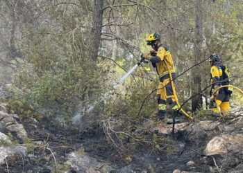 En la imagen, efectivos del Ibanat en Ibiza sobre el terreno afectado por las llamas