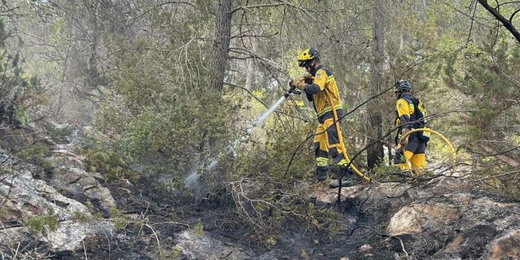 En la imagen, efectivos del Ibanat en Ibiza sobre el terreno afectado por las llamas