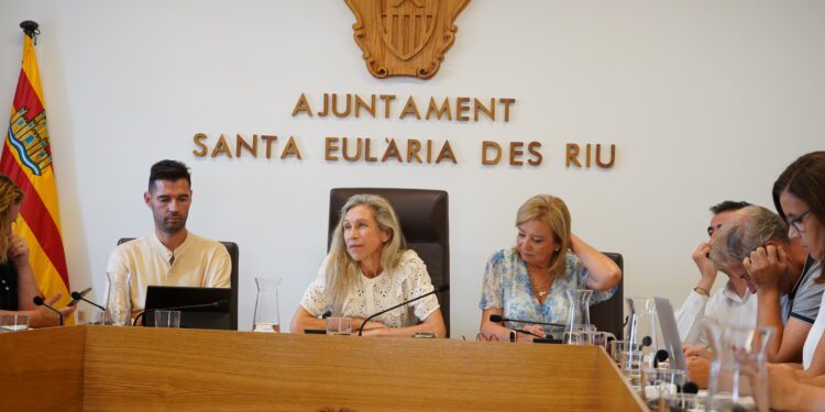 Un momento del pleno que se ha celebrado esta mañana. / ASE