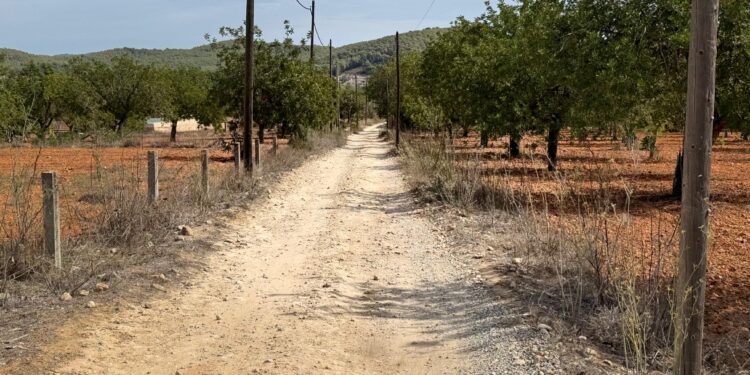 Camino rural en Santa Eulària.