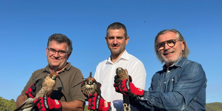 Posado antes de la suelta de las tres aves. / CAIB
