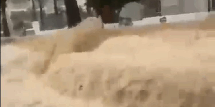 Aguas torrenciales en Ses Figueretes y en el puerto de Ibiza, hoy.